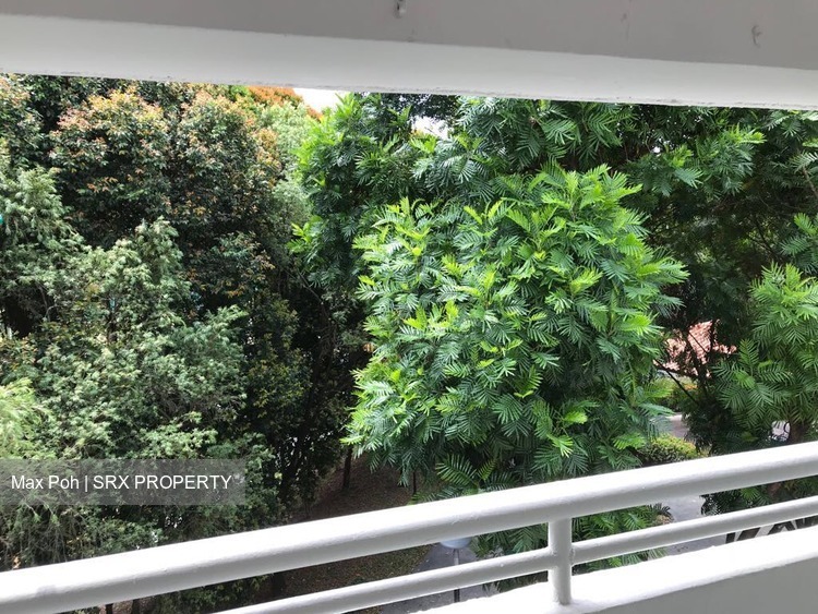 Blk 110 Clementi Street 13 (Clementi), HDB Executive #167279532
